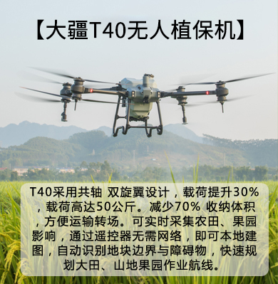&#80;&#71;&#30005;&#23376;